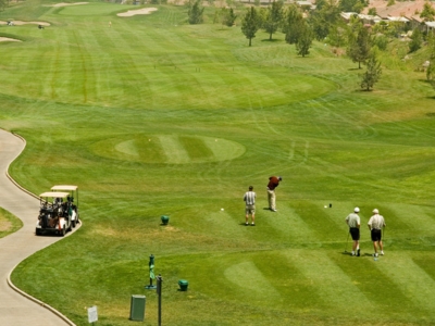 Group golfing at Charleston, South Carolina